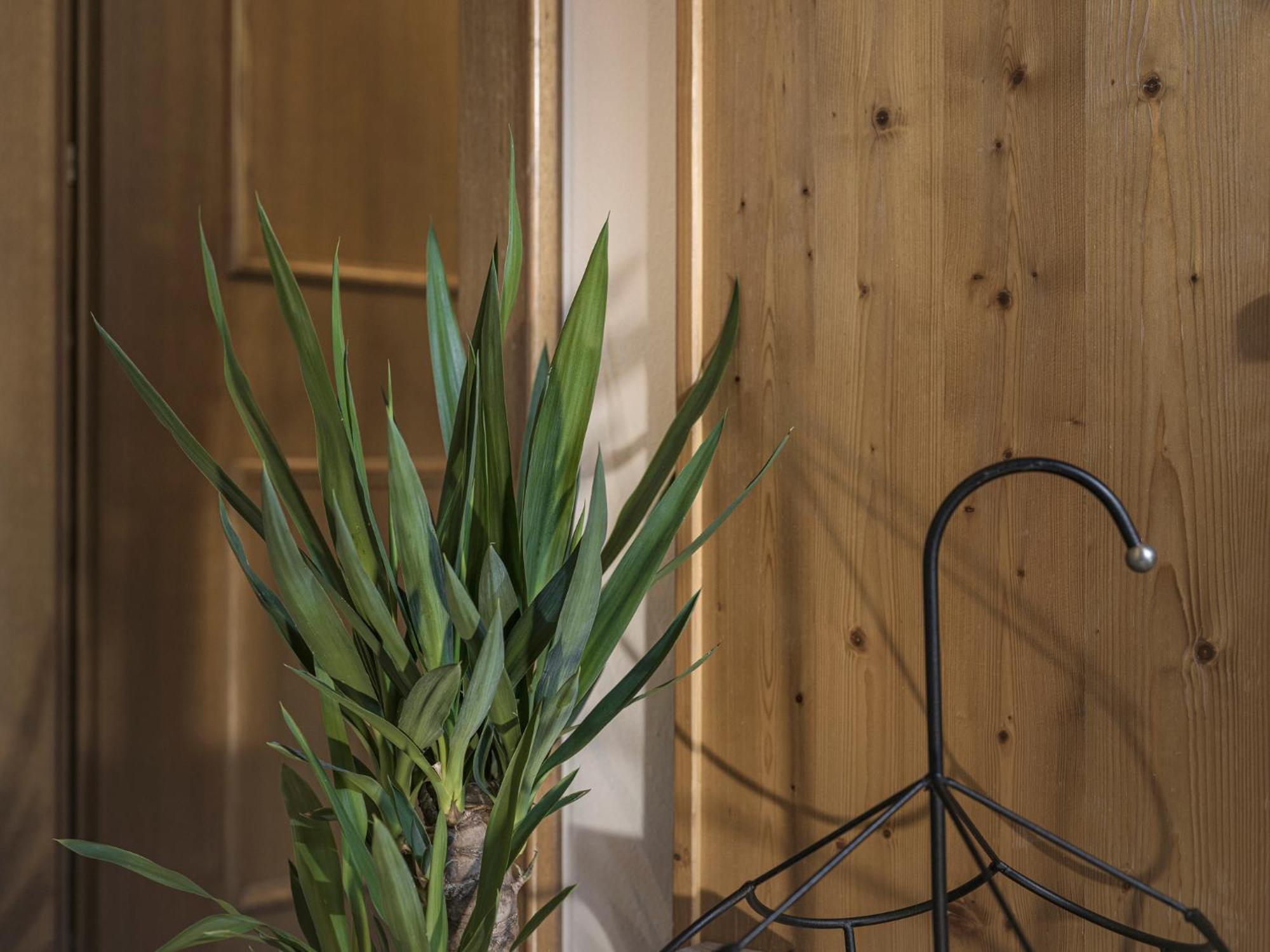 Appartement Geisler Finkenberg Bagian luar foto